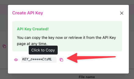 New API Key Form